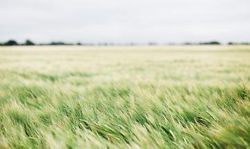 No alla discarica di amianto a Marmirolo