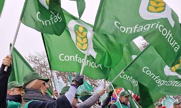 Mercosur, arriva il rinvio del Parlamento Ue