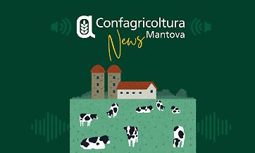 Marted&igrave; 3 marzo una nuova puntata di Confagricoltura News