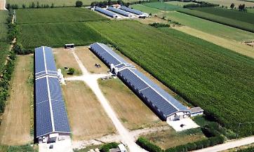 Regione Lombardia: credito di funzionamento esteso anche alle aziende avicole