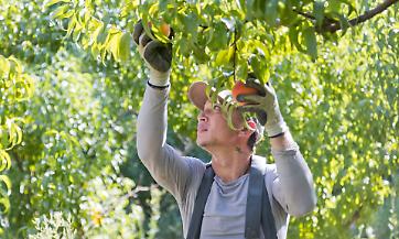 Fondamentale lavorare sulle quote stagionali d'ingresso