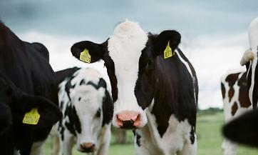 Confagricoltura Mantova pronta al ricorso contro il regolamento di Gonzaga