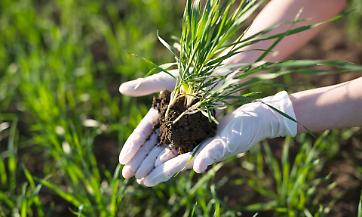Rincari su gasolio e fertilizzanti mettono in crisi le aziende agricole