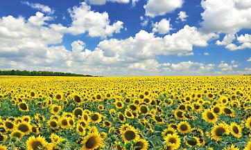 Agricoltura e ambiente: il rapporto di Regione Lombardia