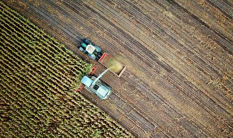 Tabelle salariali operai agricoli Tabelle salariali operai agricoli