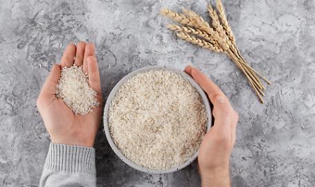 Il riso mantovano a rischio