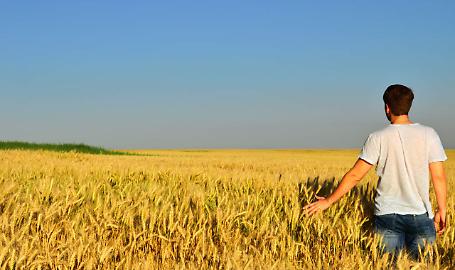 Giovani in agricoltura: &laquo;Troppi paletti e fondi inutilizzati: cos&igrave; il ricambio generazionale s'inceppa&raquo;
