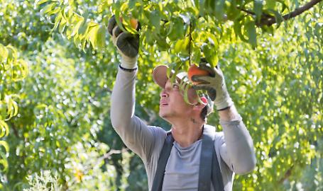 Fondamentale lavorare sulle quote stagionali d'ingresso
