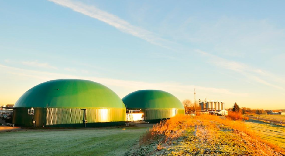 Dl Bollette: Biogas e biomasse a rischio