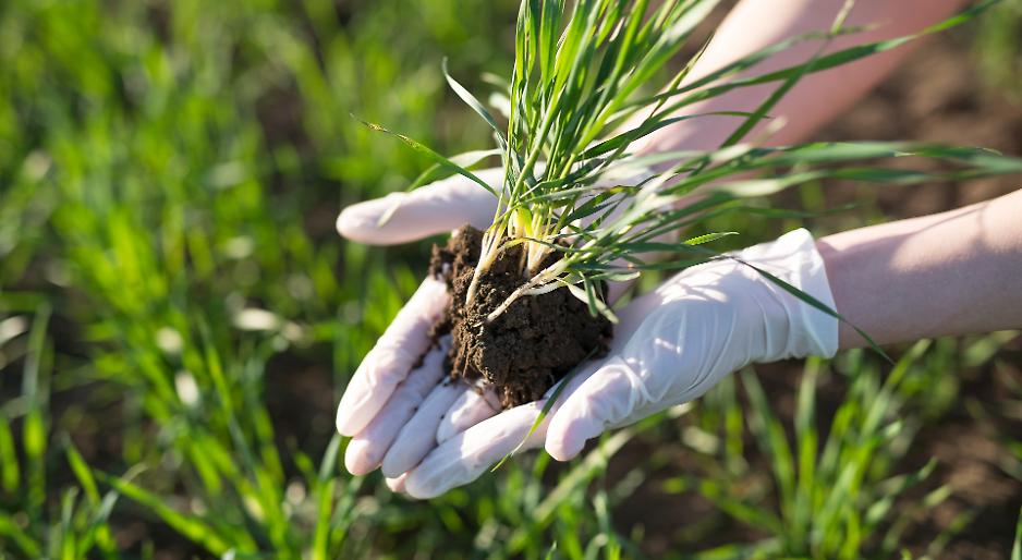 Rincari su gasolio e fertilizzanti mettono in crisi le aziende agricole